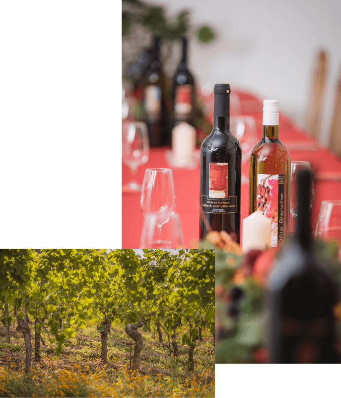 wine_bg